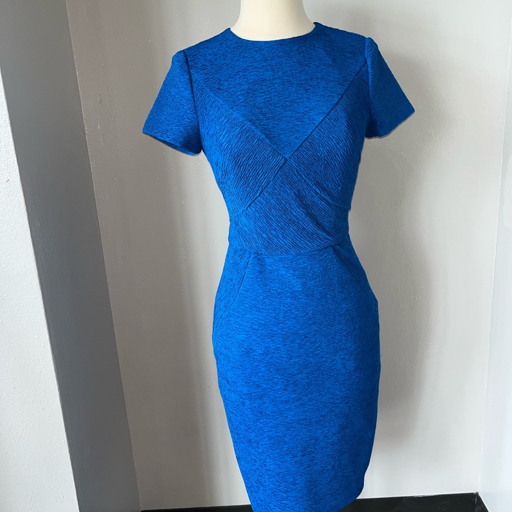 Stunning Ted Baker Sheath Dress Royal Blue